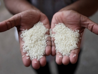 Ấn Độ có thể duy trì lệnh cấm xuất khẩu gạo đến năm 2024
